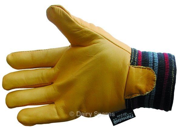 Leather Lined Glove (Pr) – GL02 GL02