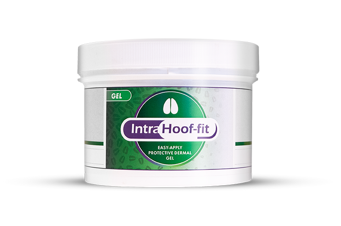 Dose Hoof-Fit Gel Klauenpflegemittel | 330ml