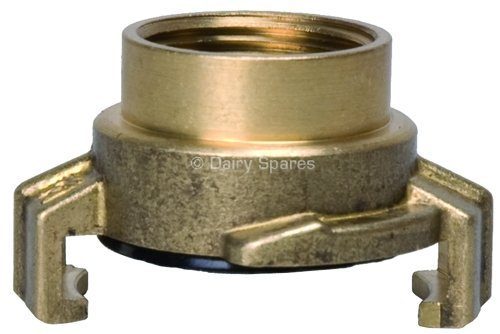 Brass Internal Thread Female Coupling – WD23 WD23