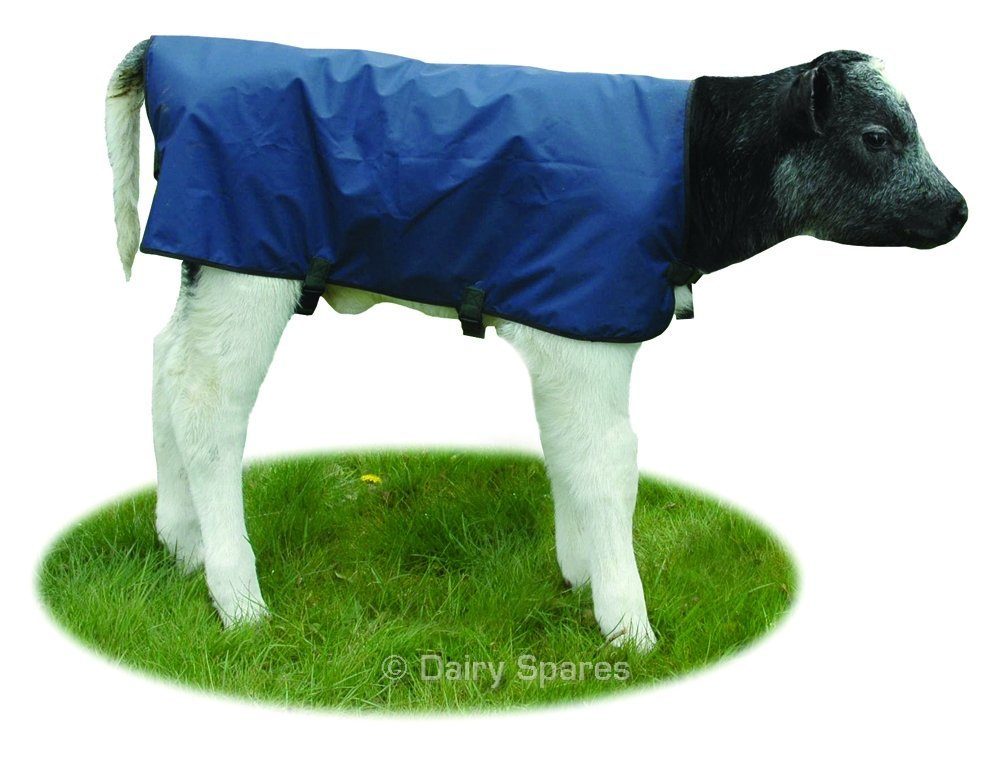 Comfy Calf Coat – CC21C CC21C