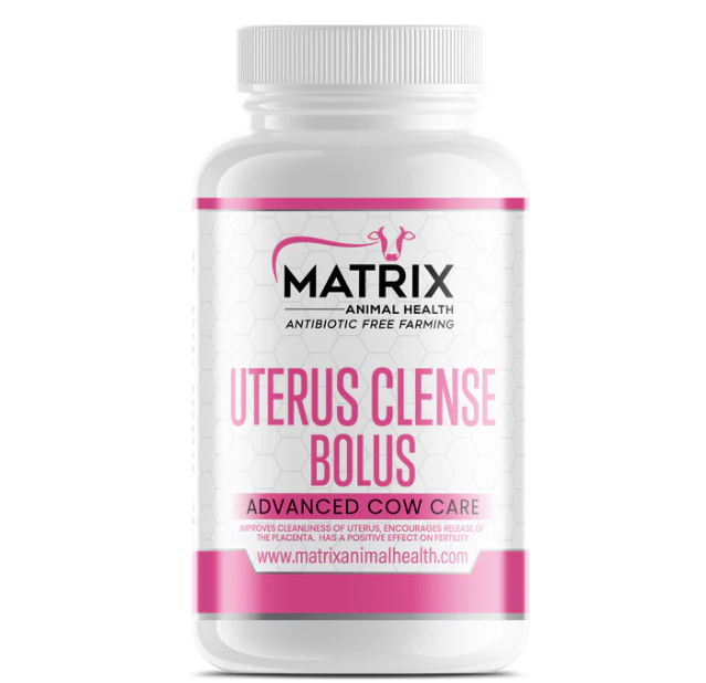 Uterus Cleanse & Retained Placenta Bolus