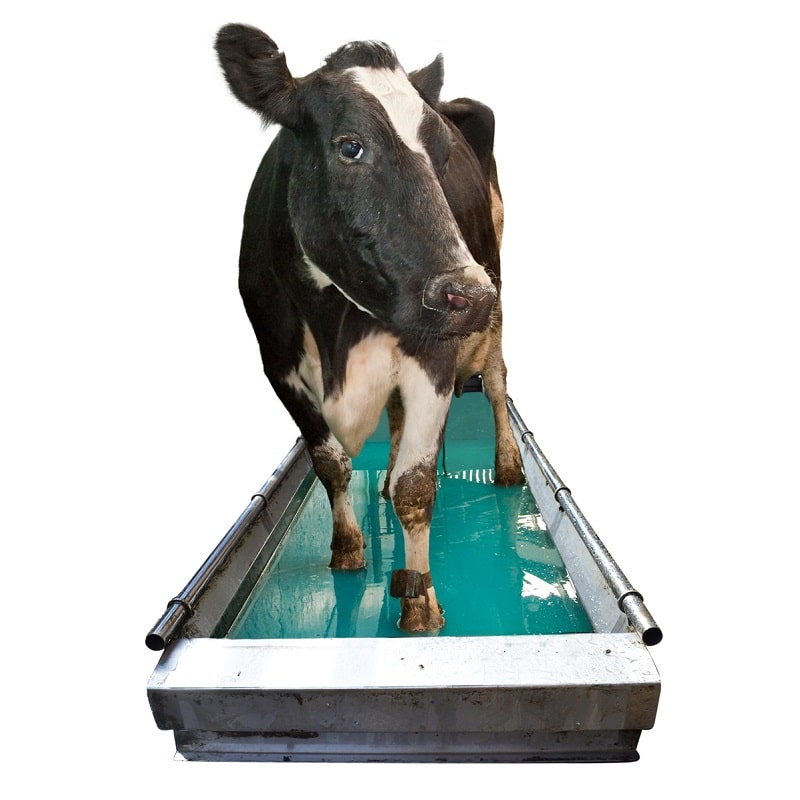 Fabdec Foot-Wash Pro Automatic Footbath