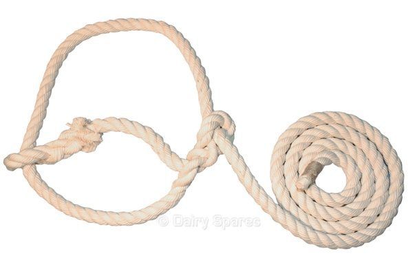 Bull Halter Best Cotton w/o Ring – HA10 HA10