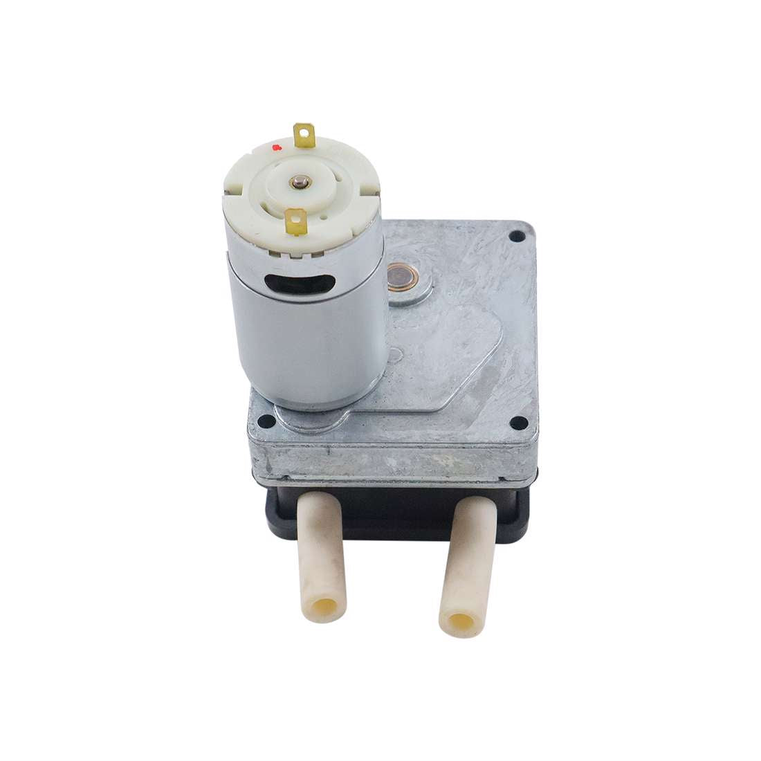Autowasher peristaltic detergent pump D10190981