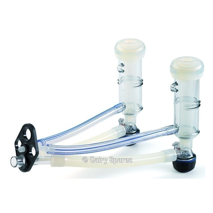 Sheep and Goat Classic Cluster MC115 | MC116