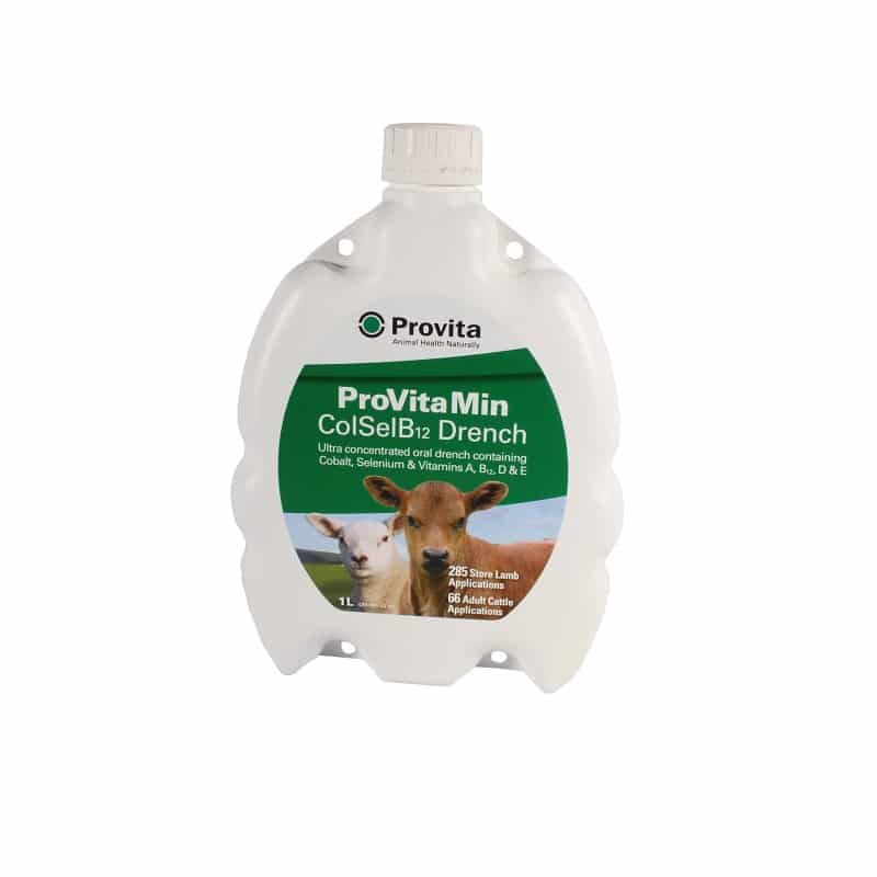 Provita provitamin co sel and b12 drench