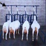 Stanchion Gang Release Kit for SY-1050 SY-1050