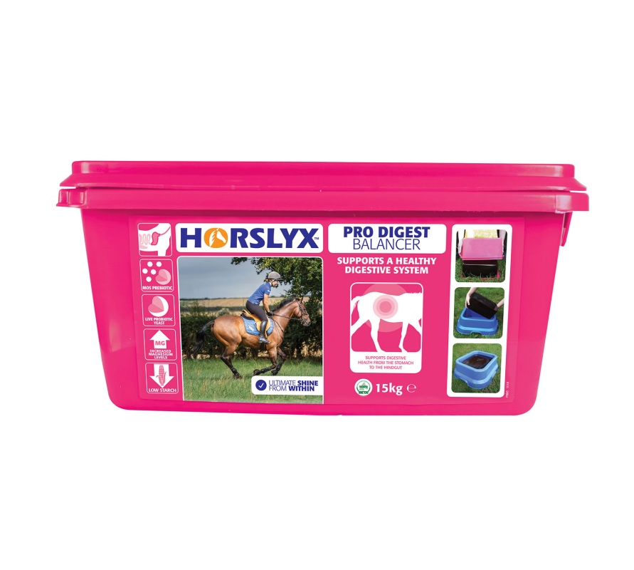 Horslyx Pro Digest Balancer Lick CTH0170 | CTH0525