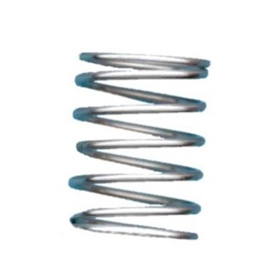 Compatible NuPulse Pulsator Spring (MZ10007NP)