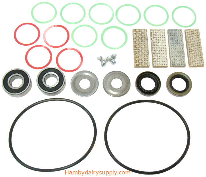 Rebuild Kit for Conde® Model 2 Vacuum Pump (Vapor Oil)