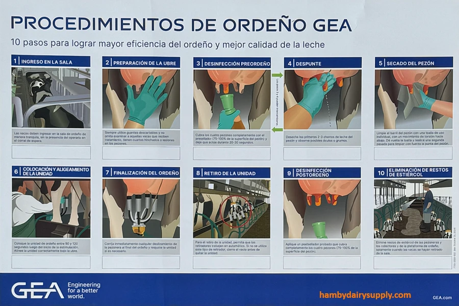 Póster laminado de GEA sobre los 10 pasos del procedimiento de ordeño- Espanol