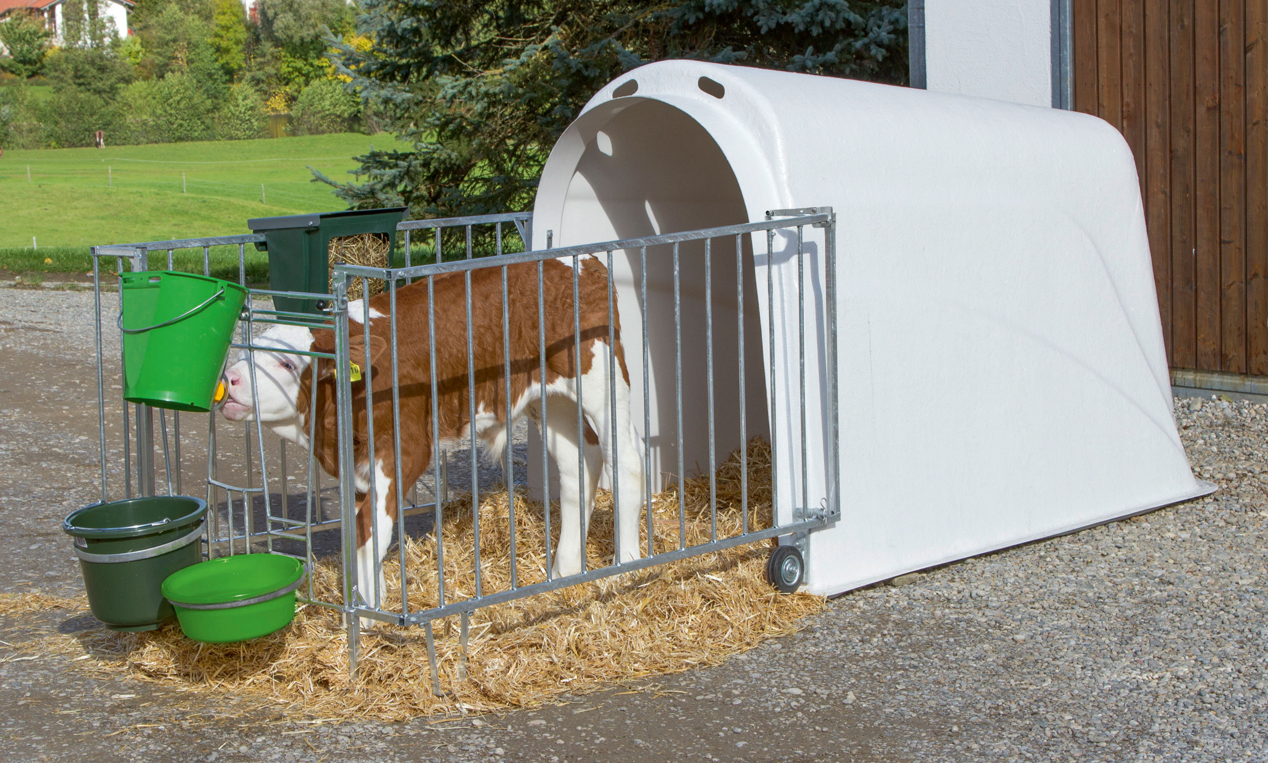 Kälberiglu CalfHouse Master Plus mit leichter Umzäunung