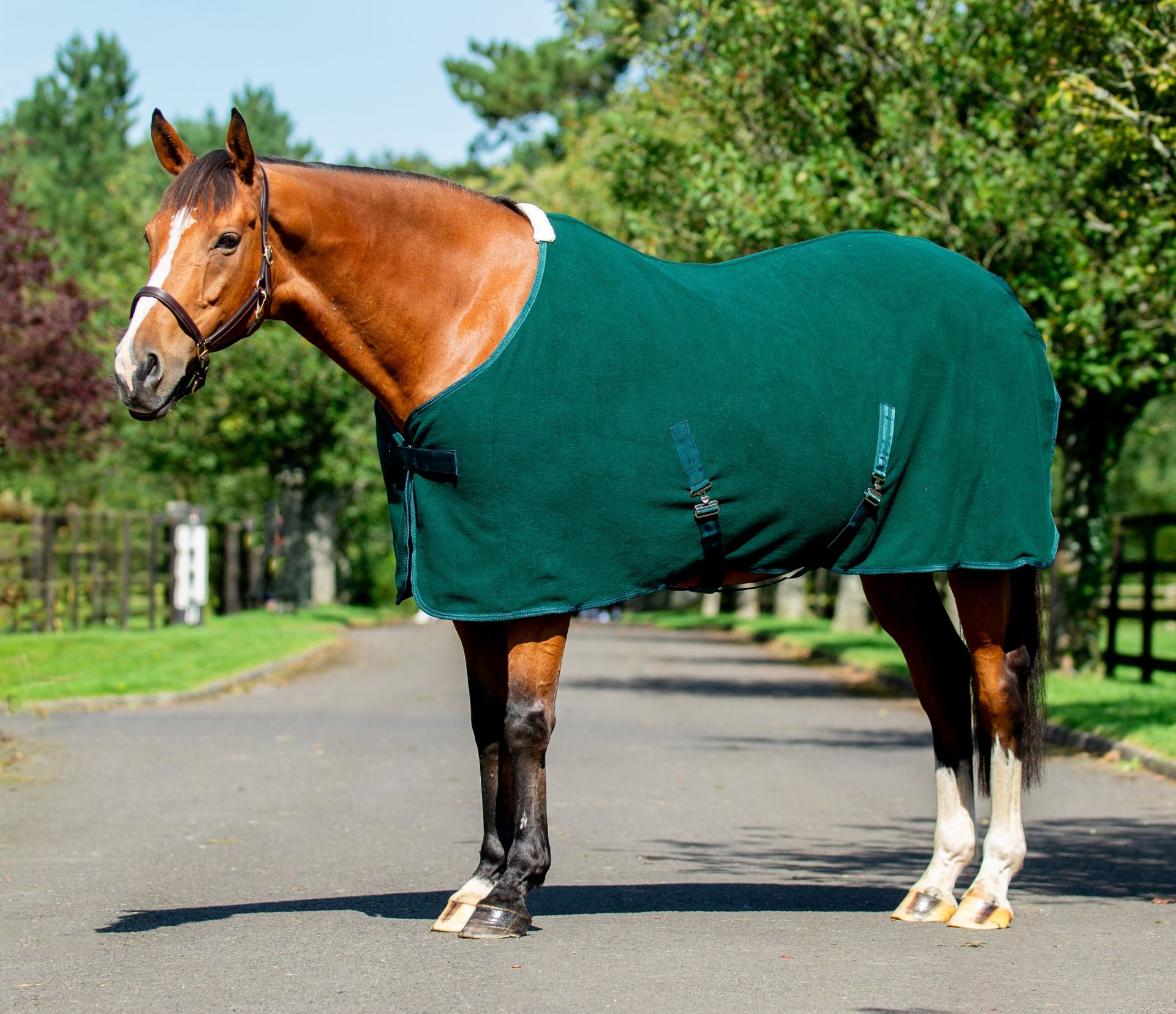 EquiSential Fleece Cooler – Green