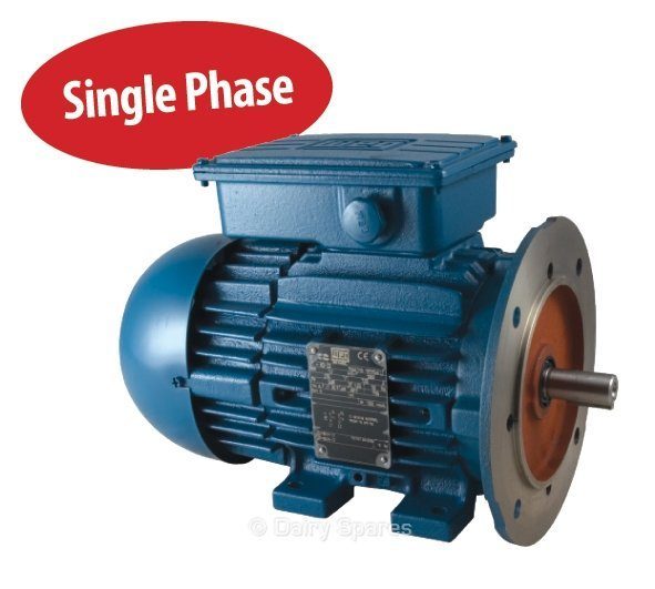 Milk Pump Motor Suitable for Gascoigne, 2 Pole Single Phase, 230V 50Hz – 77248