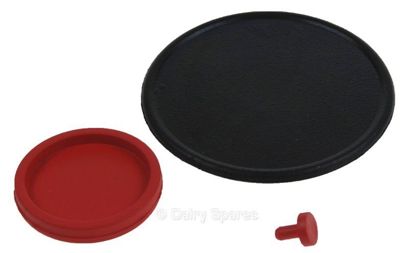 Ambic Relief Valve Service Kit Viton Seals for Use With Chlorine Dioxide – AJ2019V AJ2019V