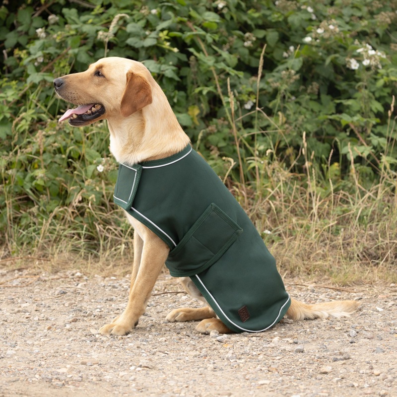 Benji & Flo LuxeSoft Dog Coat BAF0220