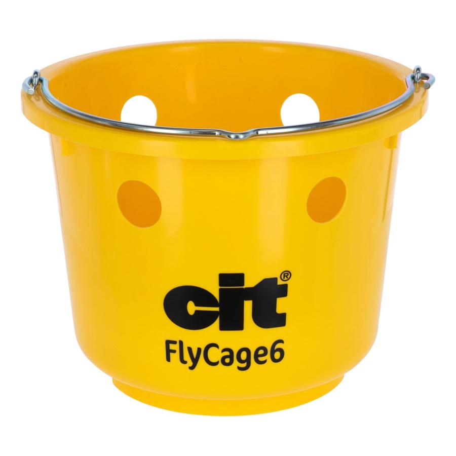 cit Fly Trap With 6 Holes