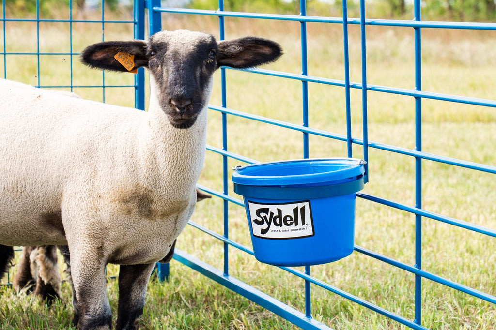 Sydell Hanging Pail Bracket - 20 inch K3230