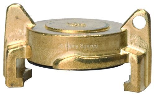 Brass End Cap – WD50 WD50