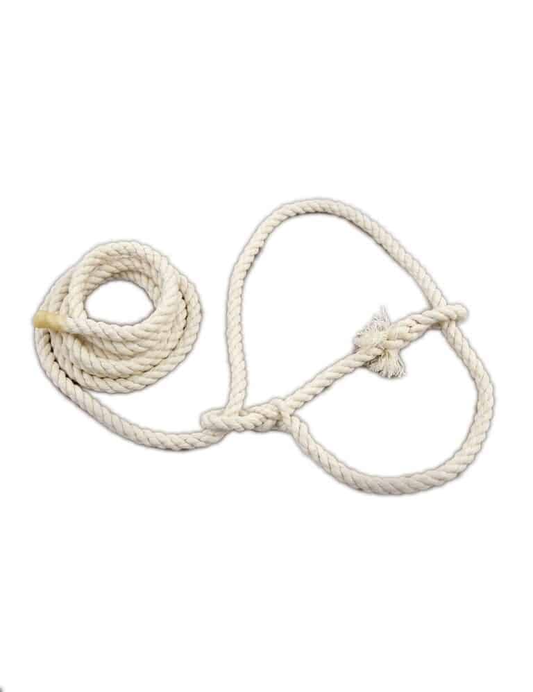 Cotton halter for sheep 1.8mtr x 8mm