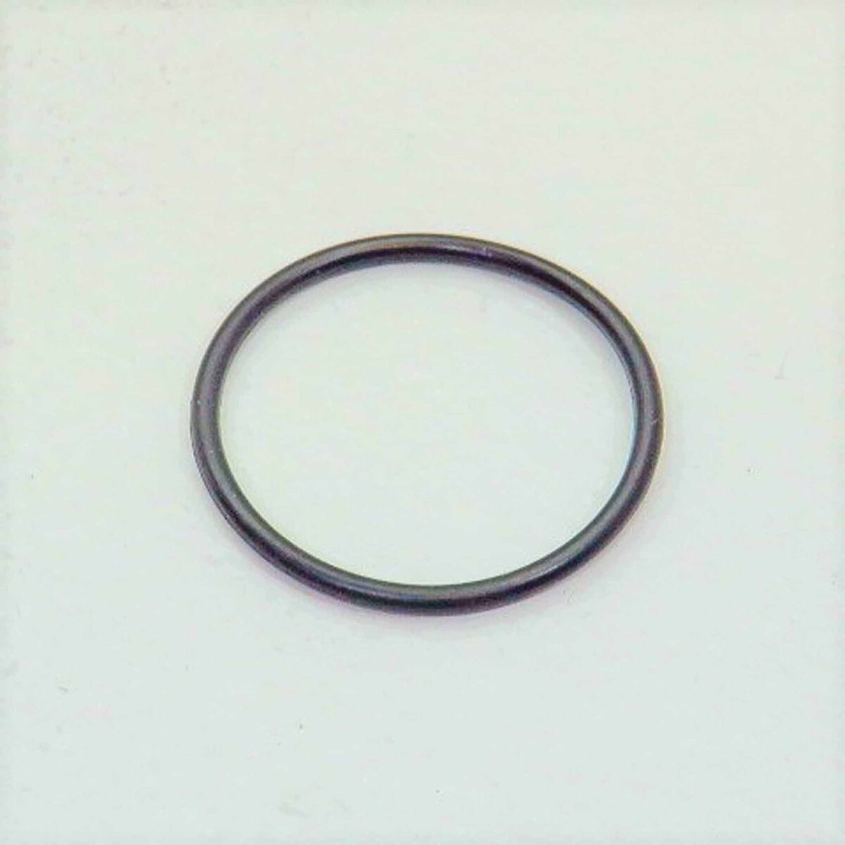 Fristam 1.5/2.2kW Nut O-Ring 8808-5070-162
