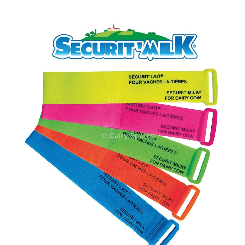 Securit’Milk legbands (6pack) LB201