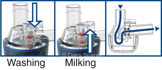 ‘Y’ Piece Milk Pipe Sheep/Goat Cluster (Single) – RY14A RY14A