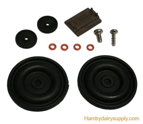 Rebuild Kit for 50/50 Interpuls L02