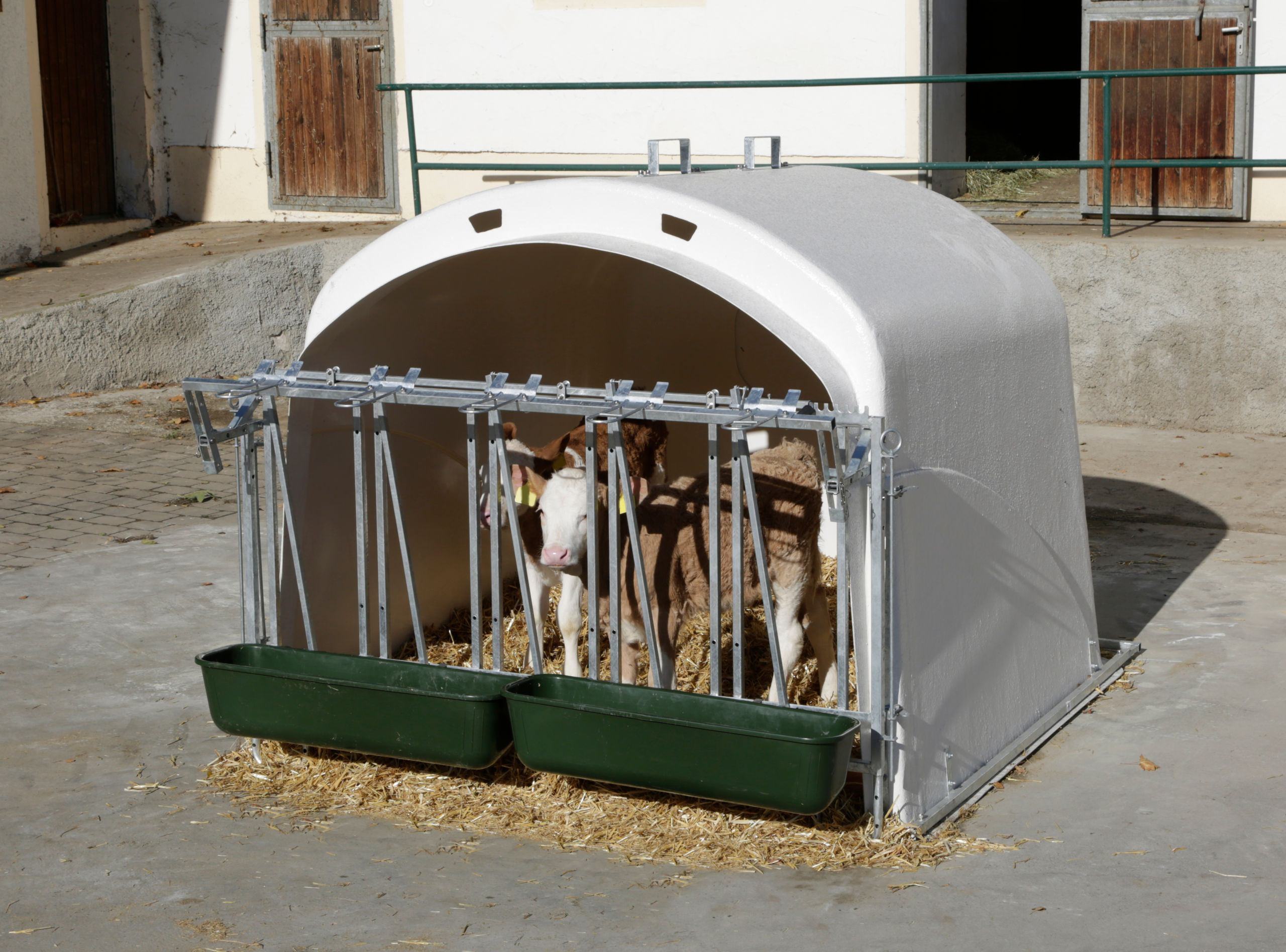 CalfHouse Premium XL mit Fanggitter