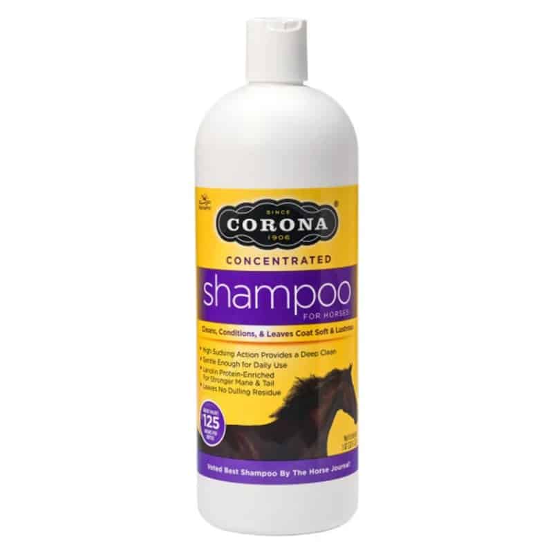 Corona Concentrated Shampoo 30106 | 30106A