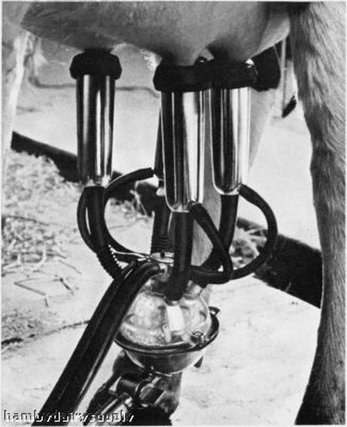 Mini Orbit Milking Unit parlor model - complete