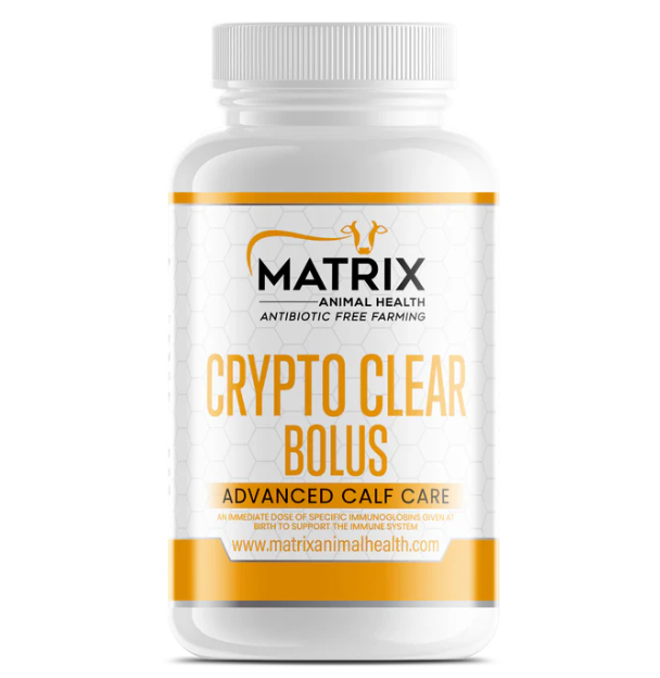 Crypto Clear Bolus