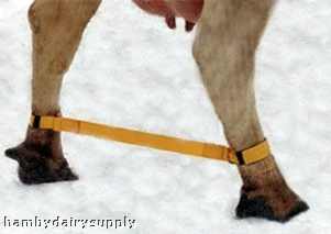 Split Guard Safety Hobble - Gold - Velcro-Type