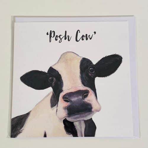 Posh Cow Greeting Card 4DF362