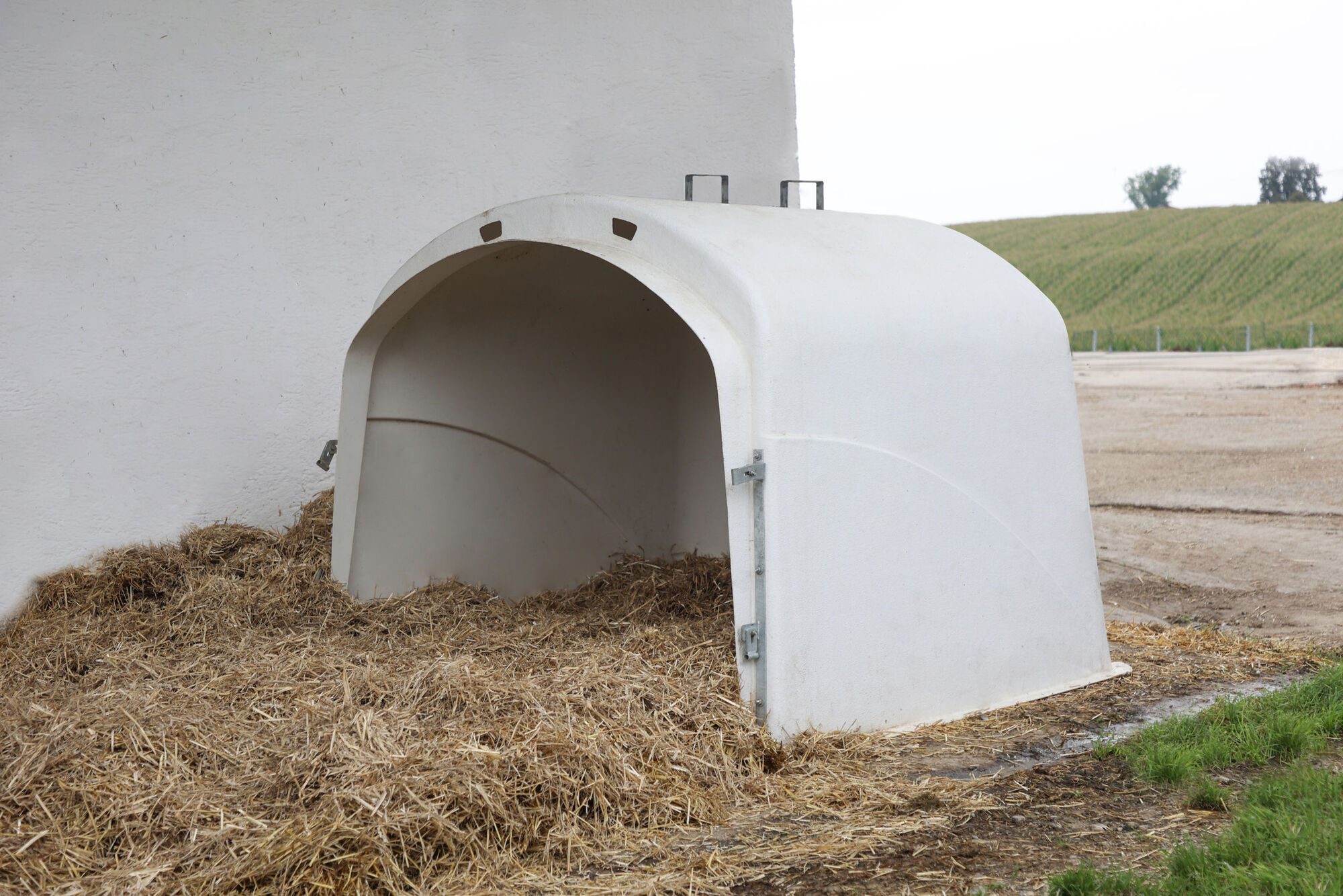 CalfHouse Premium XL, einzeln