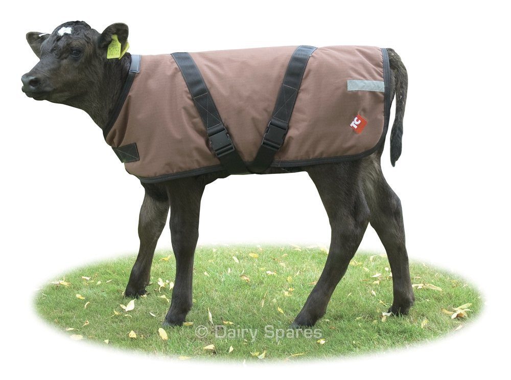 Tough Cover Calf Coat Premium Brown 200g Quilted – CC21L CC21L