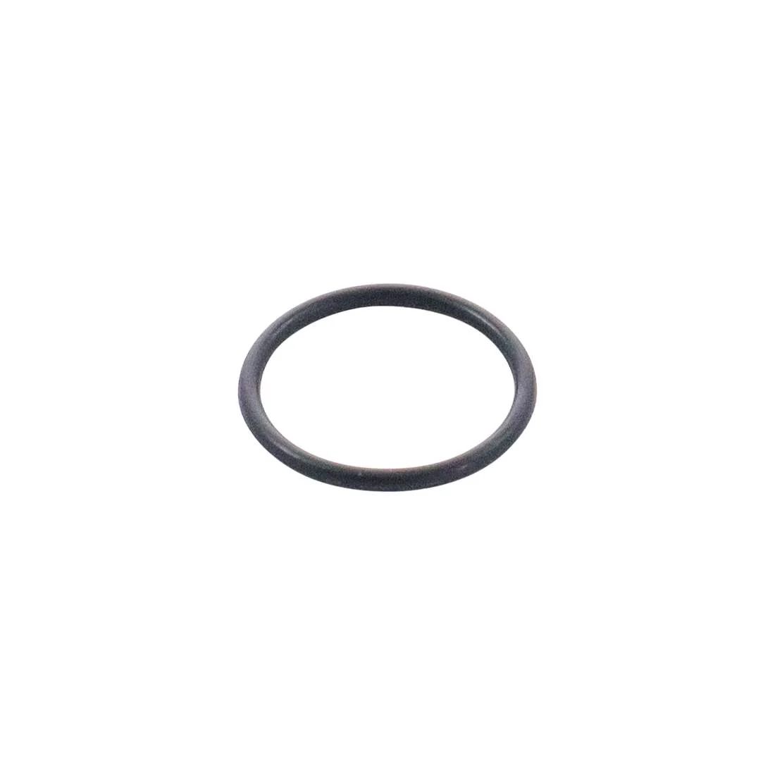 O-ring for manifold milk pump A4