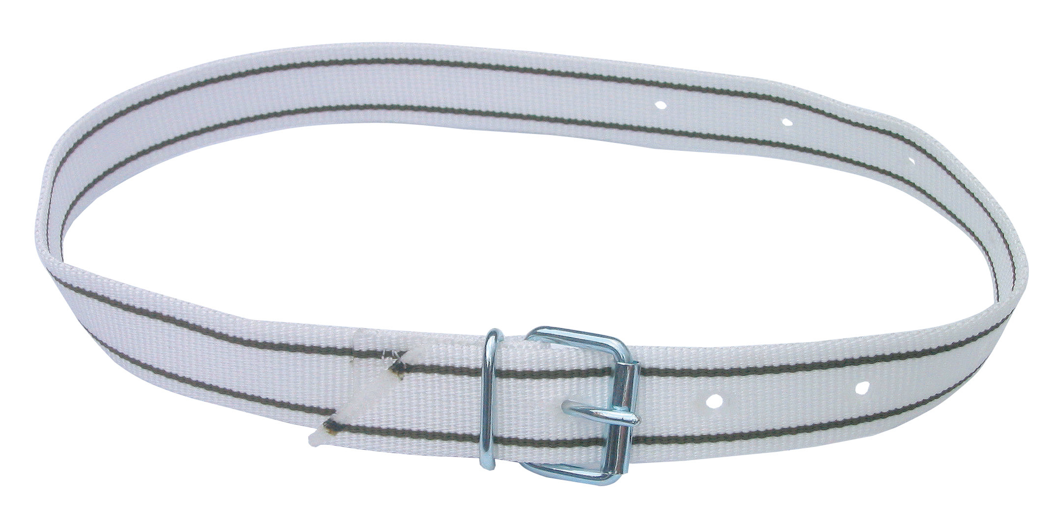 Halsmarkierungsband Premium mit Rollschnalle weiß/schwarz | 90cm 20887-X