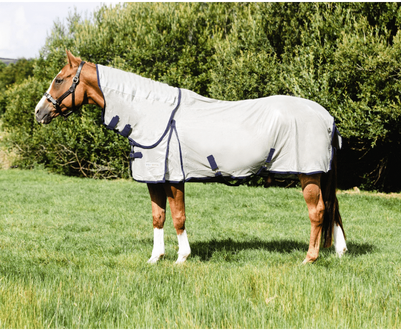 Equisential Fly Rug