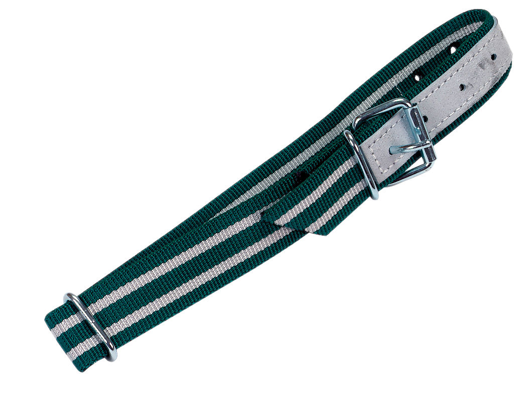 Halsband mit Ovalglied für Kälber, Schafe & Ziegen 65 x 4 cm