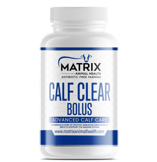 Calf Clear Bolus