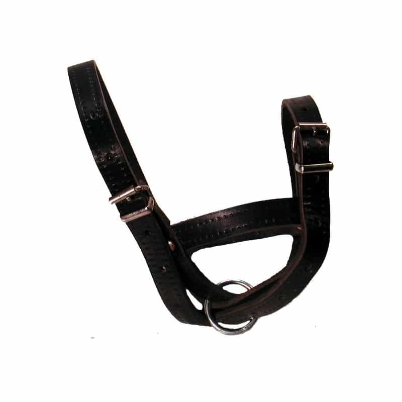 Leather show halter and lead for sheep – black