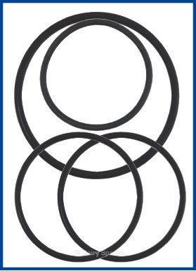 febra™ Major Filter Gauze ‘O’ Ring Set (6073880) – DE040 DE040