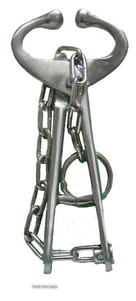 Bull Lead with Chain