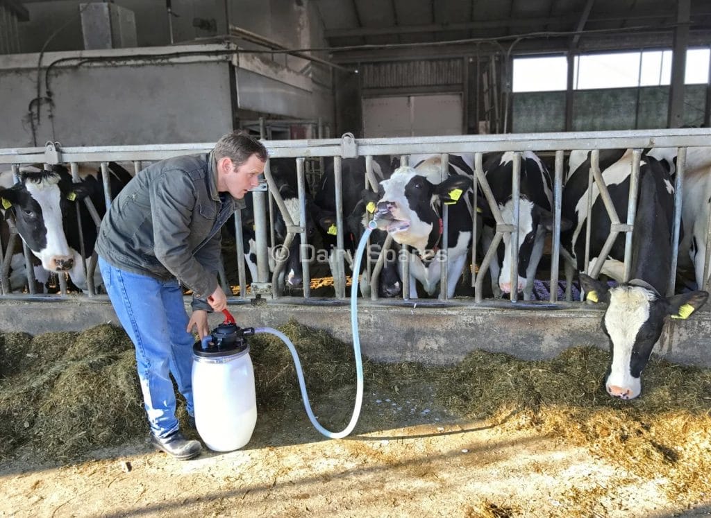 Cow Drencher COW01A
