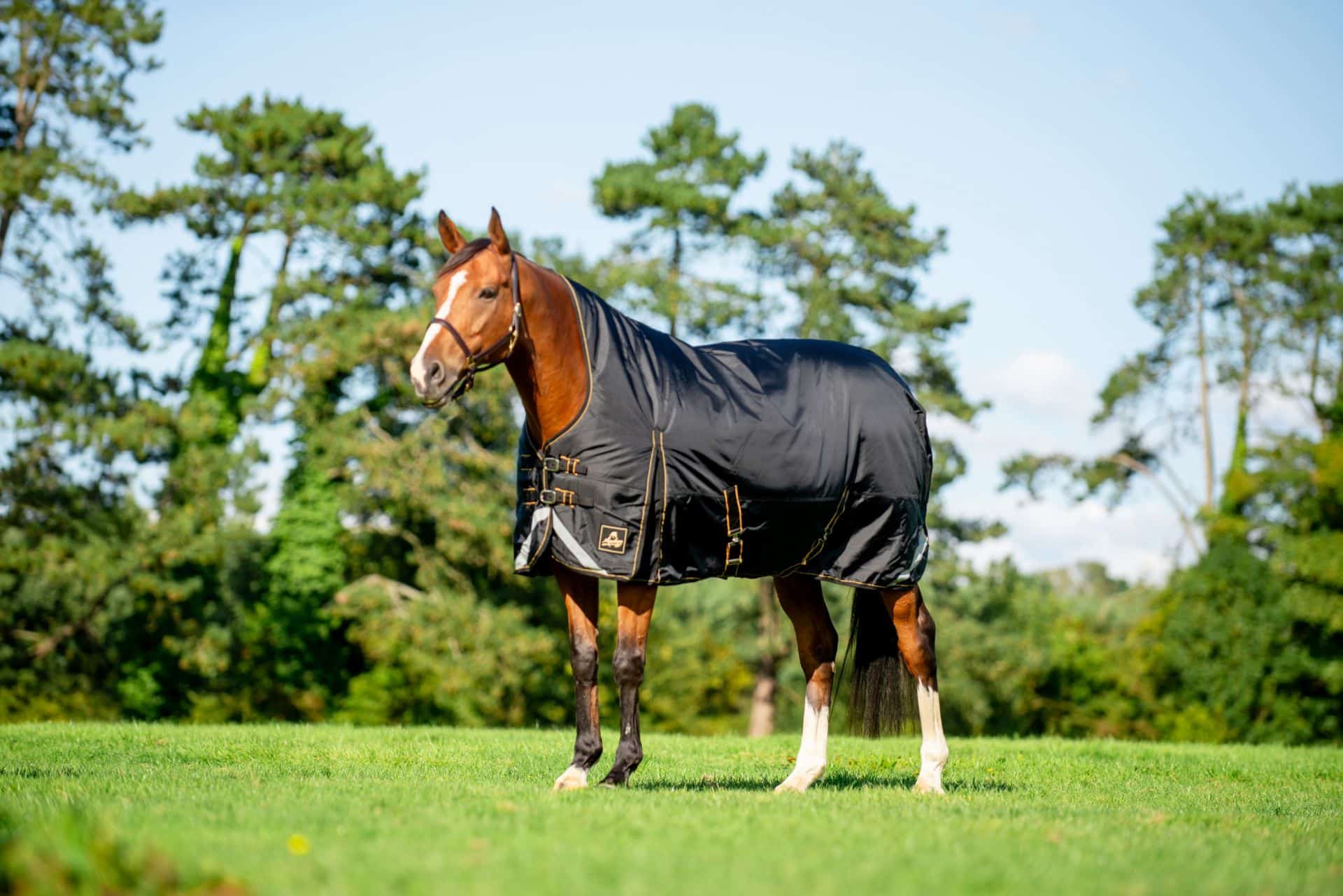 Lugnaquilla Semi High Neck – Heavyweight Turnout Rug