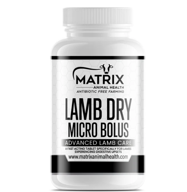 Lamb Dry Micro Bolus