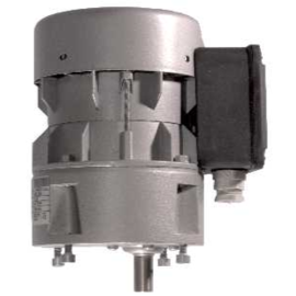Agitator Motor R1C 225 F4BC 200-240V 1ph 50/60Hz 40/48rpm Shaft Ø 14mm 0710-101-1125
