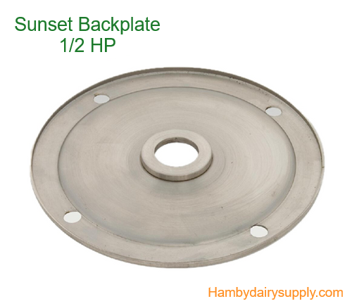 BackPlate for .5 hp Sunset wash pump 4999-1010-663