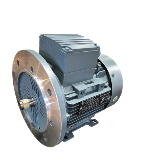 Flanschmotor passend für Packo Milchpumpe 0,75 kW